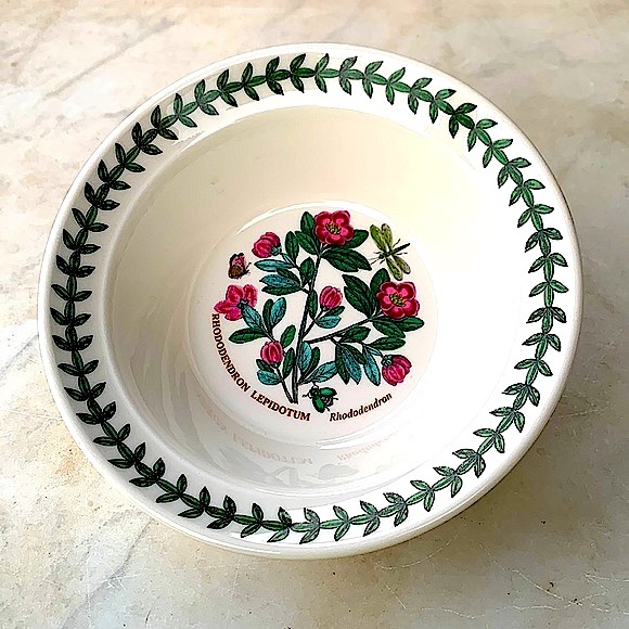 BOTANIC GARDEN BY PORTMEIRION RHODODENDRON CEREAL OATMEAL BOWL NEW - Picture 4 of 7